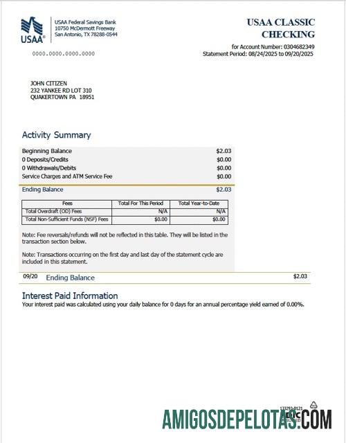 Extrato do Banco de Poupança Federal da USAA em branco, modelo Word e PDF, versão 2
